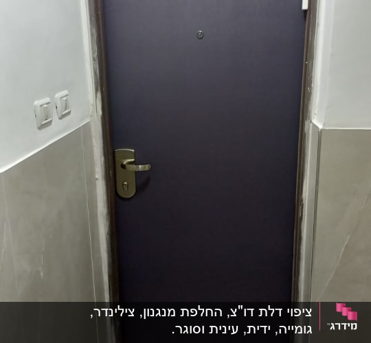 דלת כהה עם ידית מתכת ומסגרת בהירה